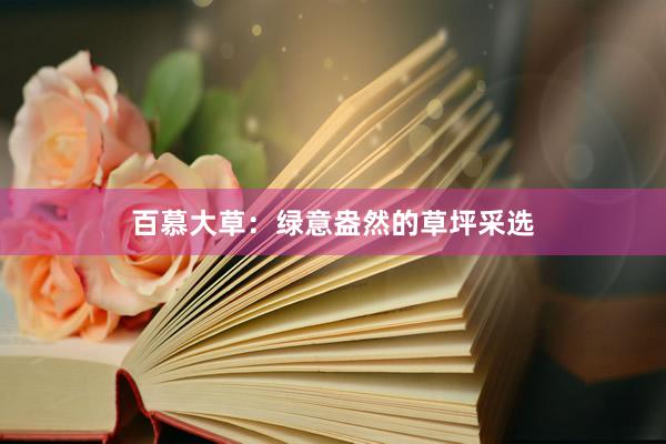 百慕大草：绿意盎然的草坪采选