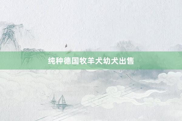 纯种德国牧羊犬幼犬出售