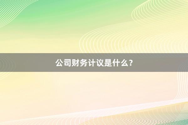 公司财务计议是什么？